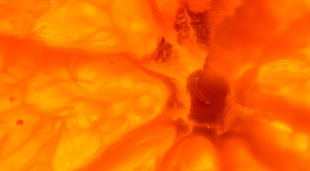 橘子关闭图片下载