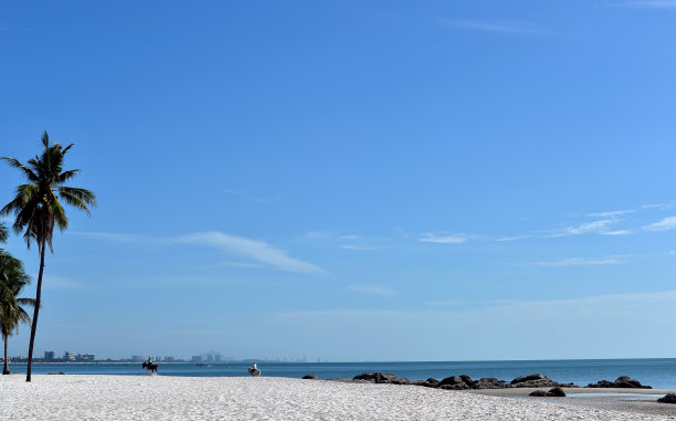 在海滩上骑马散步。热带夏季泰国华欣海滩背景图片下载