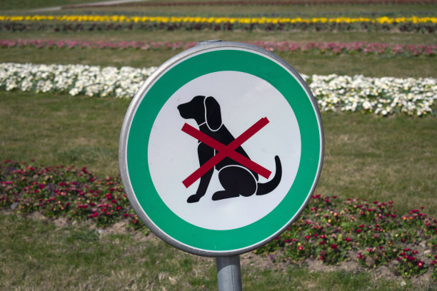 长官，上面说不许带狗，禁止带狗。公园的背景，鲜花图片下载
