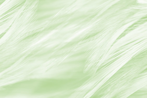 绿色复古色趋势羽毛纹理背景图片下载