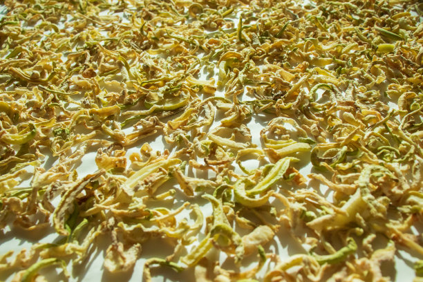 干白萝卜片图片下载