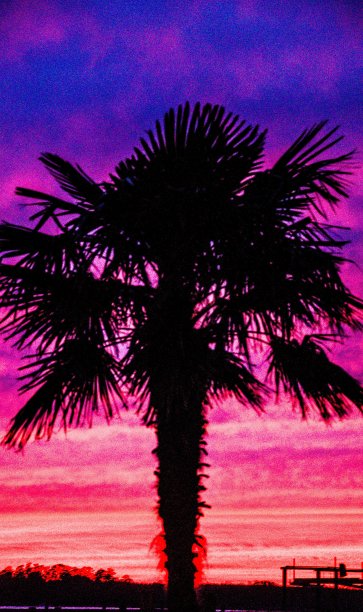 北卡罗莱纳图片下载