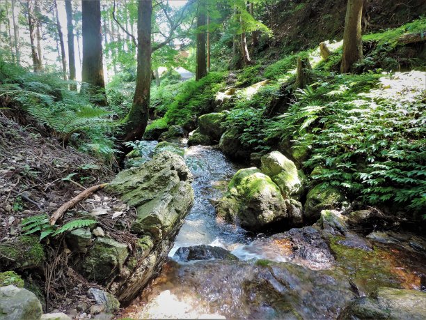 日本山林中的小瀑布。2图片下载