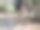 春天的模式。刚刚开花的樱桃。3.图片下载