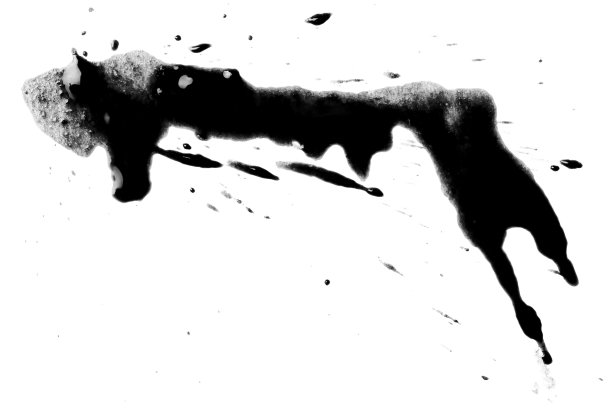 白色的上面有黑色的斑点图片下载