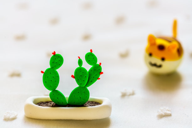 彩色橡胶仙人掌和猫图片下载