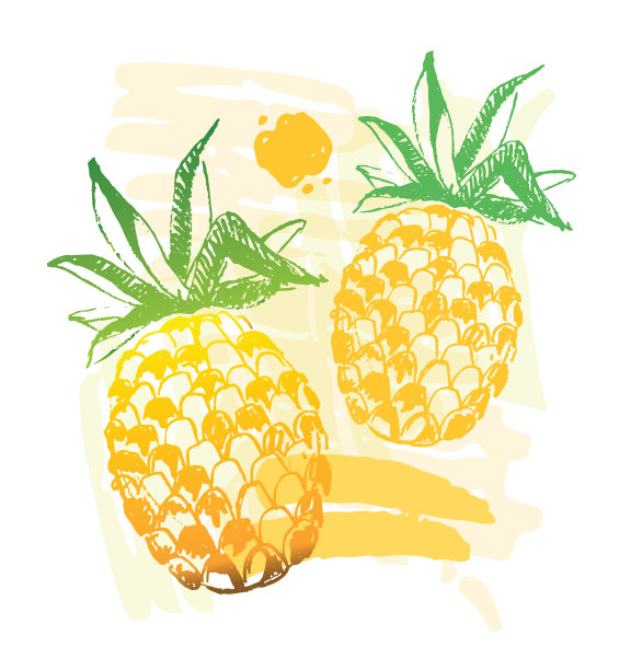 手绘热带水果涂鸦图片下载
