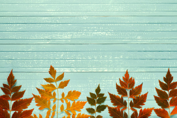 秋天的框架为你的想法。秋天，黄色、红色、橙色的枯枝落在旧木板的边缘，一块柔软的蓝色的地方，用来放置你的文字图片下载