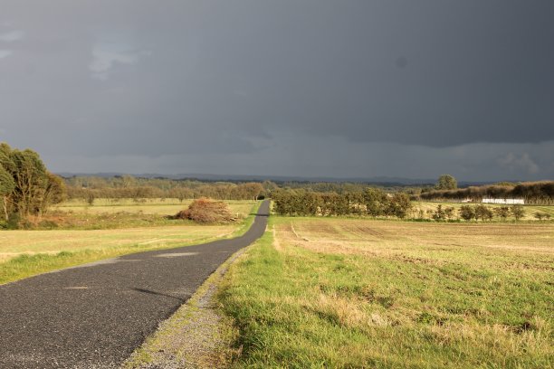 阳光下的绿色草地和灰色的天空图片下载