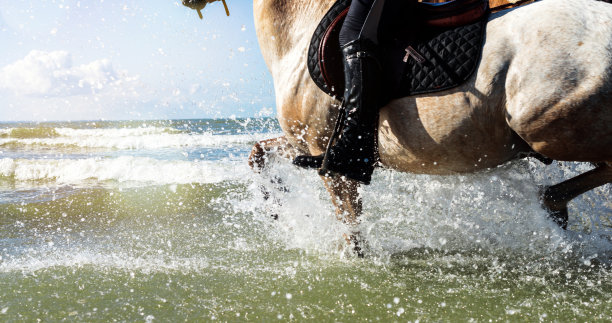 骑手在海里小跑图片下载