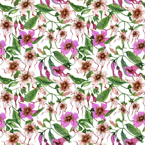 美丽的花在攀缘树枝在白色的背景。无缝的花卉图案。水彩画。手绘植物插画图片下载