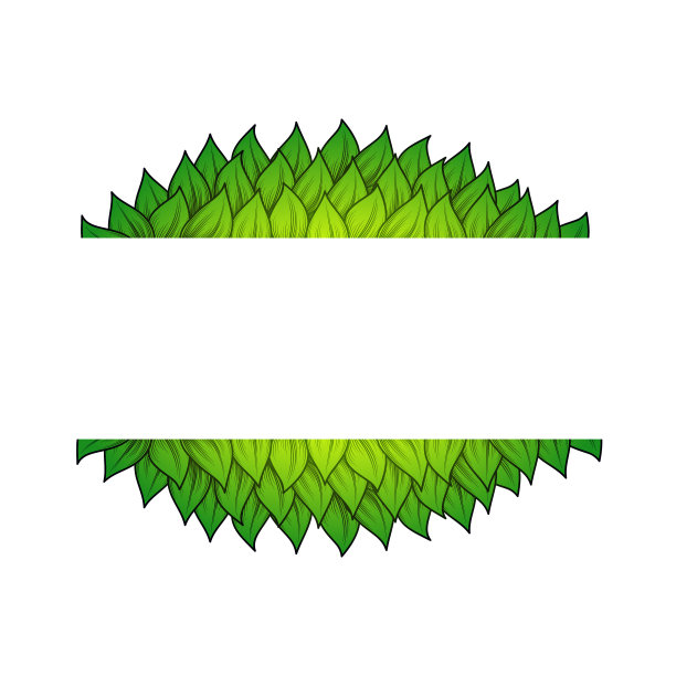 水平叶框架图片下载