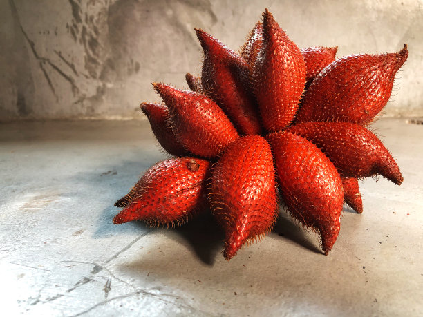 水泥背景上的新鲜萨拉卡水果。亚洲国家的果实有甜有酸。图片下载