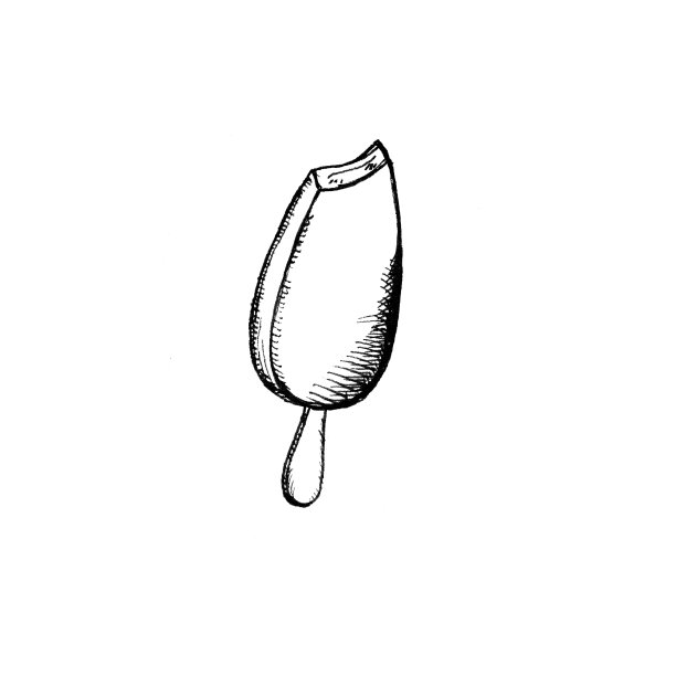 手绘食物插图图片下载