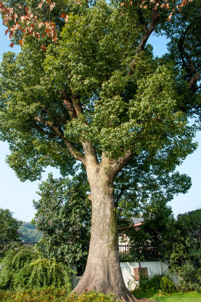 公园自然风光图片下载