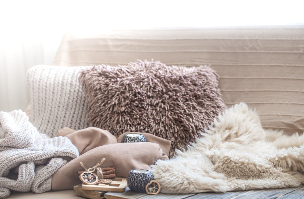 家舒适，客厅配有沙发和家居装饰图片下载