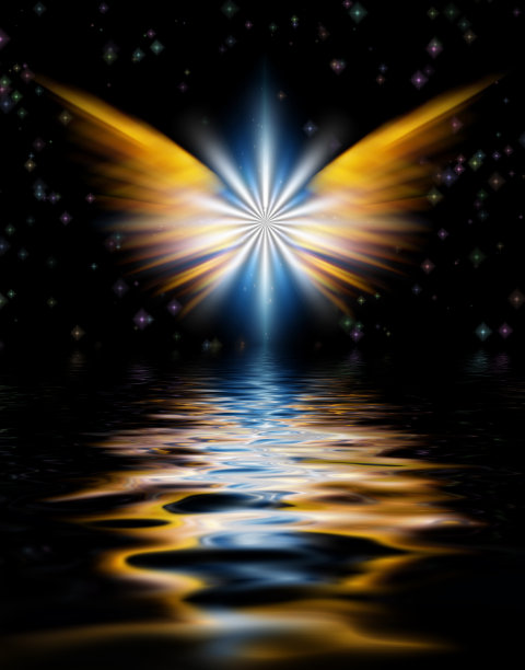 天使的翅膀明星图片下载