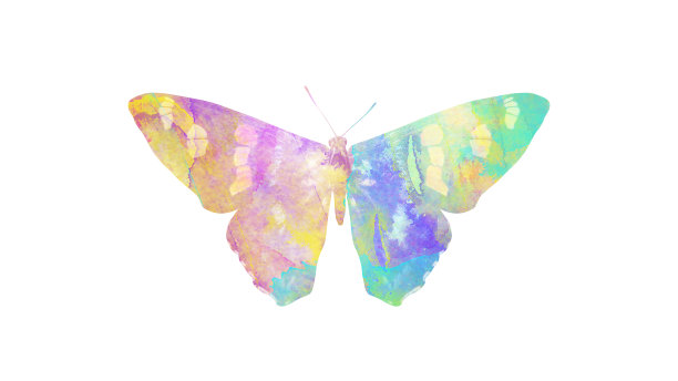 水彩蝴蝶。用于设计的热带昆虫。在白色背景上隔离图片下载