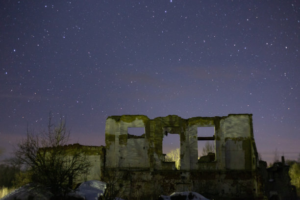 被毁的植物映衬在星空下图片下载