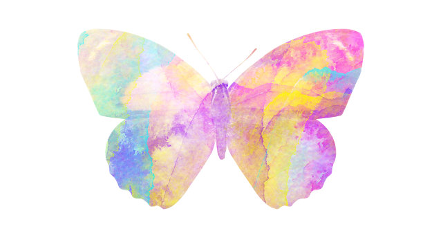 水彩蝴蝶。用于设计的热带昆虫。在白色背景上隔离图片下载