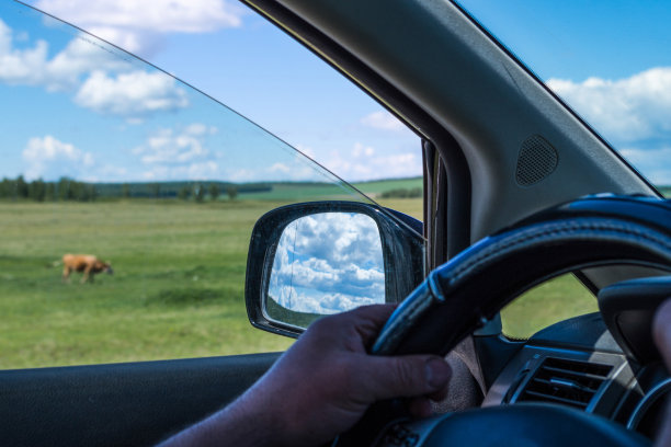 从车窗到牧场的景色，方向盘。图片下载