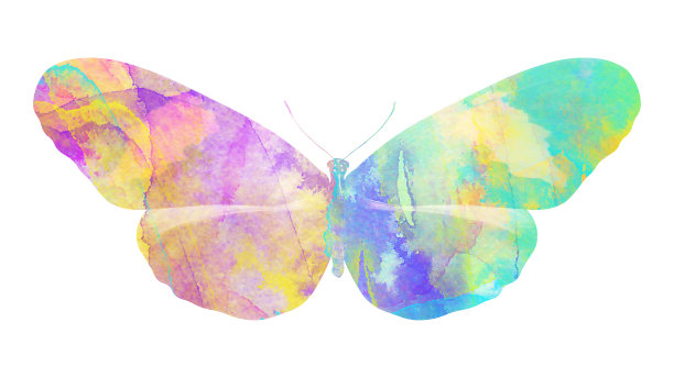 水彩蝴蝶。用于设计的热带昆虫。在白色背景上隔离图片下载