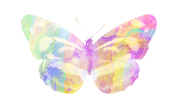 水彩蝴蝶。用于设计的热带昆虫。在白色背景上隔离图片下载