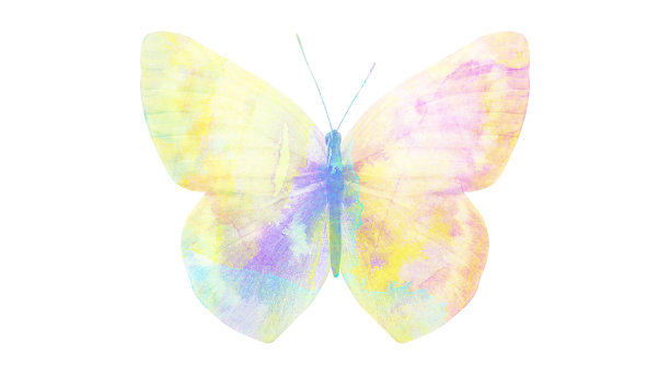 水彩蝴蝶。用于设计的热带昆虫。在白色背景上隔离图片下载