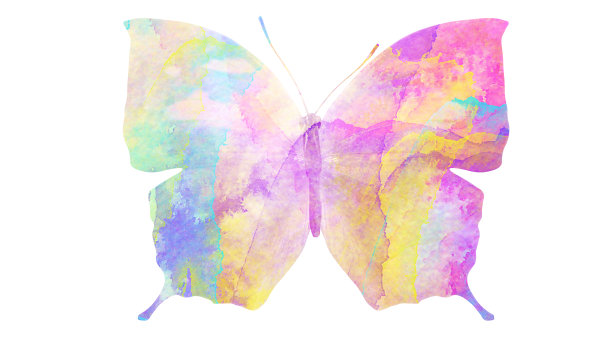 水彩蝴蝶。用于设计的热带昆虫。在白色背景上隔离图片下载