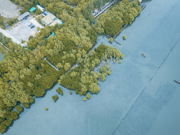 有小路环绕的海滩和树林。高角度的照片。图片下载