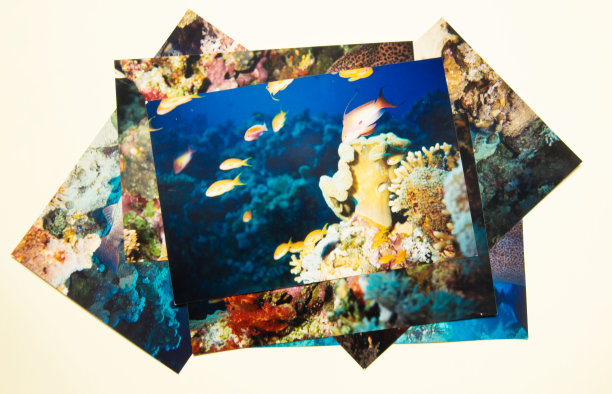 夏季潜水的回忆与怀旧之旅相册。自拍。图片下载