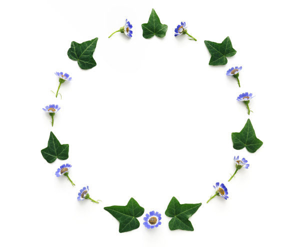 花圈在白色的背景图片下载