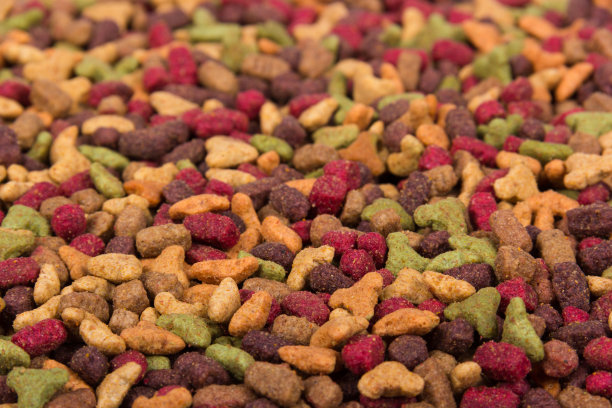 干燥的宠物食品。猫粮图片下载
