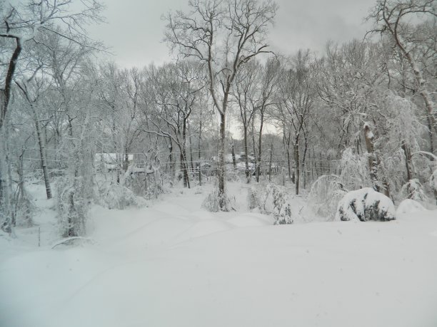 奥伍德的冬景图片下载