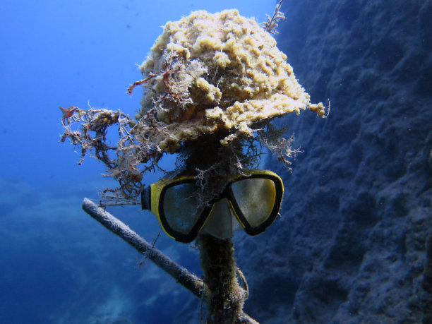 水下面罩和帽子图片下载