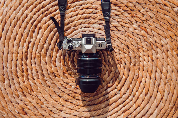 俯视图老式复古风格相机在干水葫芦垫图片下载