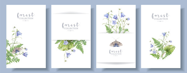 水彩横幅设置森林植物蝴蝶图片下载