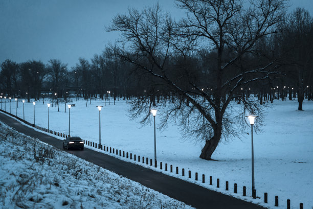 公园在黄昏的雪图片下载