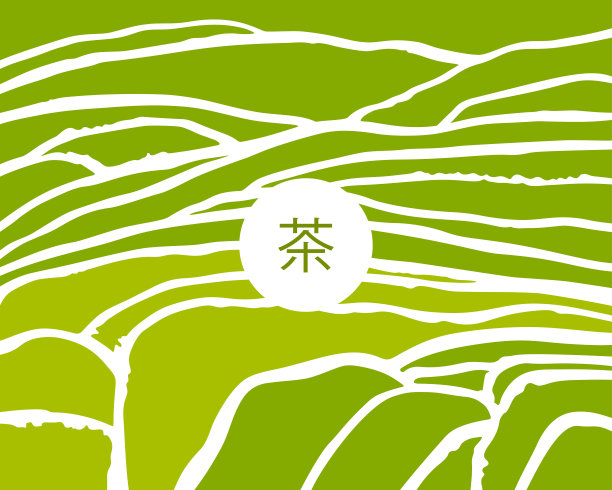 茶树在梯田里。中国茶题图片下载