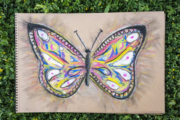 画家用彩色粉笔画的蝴蝶图片下载