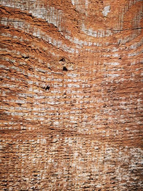 木材纹理图片下载