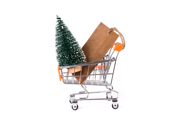 冬天快来了!圣诞快乐!圣诞老人概念的成本礼物。侧面侧面近距离观看小绿树照片在金属车纸价格标签孤立的白色背景图片下载