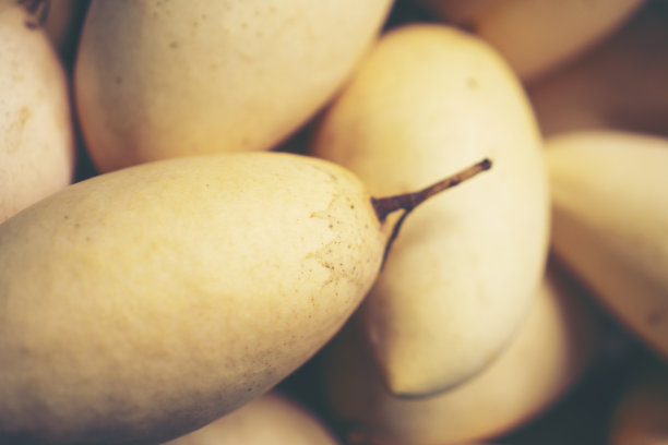 泰国户外农贸市场展示的新鲜芒果图片下载