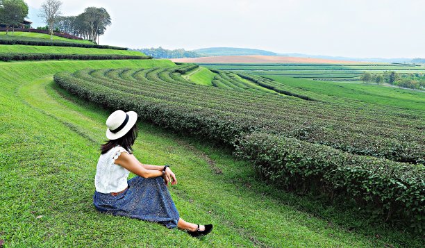 人们在公园的生活方式。图片下载