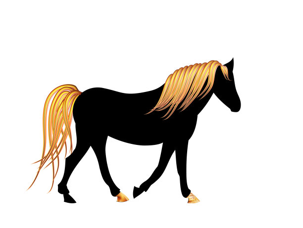 黑色的阿拉伯马与金色的鬃毛在圣诞之夜闪烁的星星。图片下载