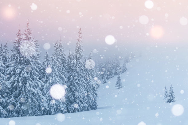 神秘的风景雄伟的山脉在冬天。神奇的雪覆盖的树。贺卡照片。散景光效果，软滤镜。喀尔巴阡山脉的乌克兰欧洲图片下载