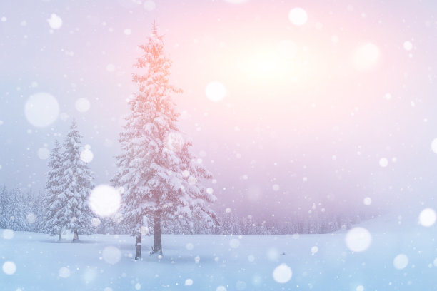 神秘的风景雄伟的山脉在冬天。神奇的雪覆盖的树。贺卡照片。散景光效果，软滤镜。喀尔巴阡山脉的乌克兰欧洲图片下载