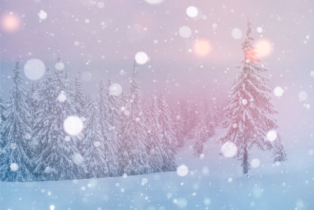 神秘的风景雄伟的山脉在冬天。神奇的雪覆盖的树。贺卡照片。散景光效果，软滤镜。喀尔巴阡山脉的乌克兰欧洲图片下载