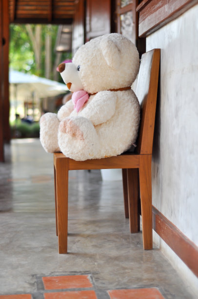 大泰迪熊图片下载