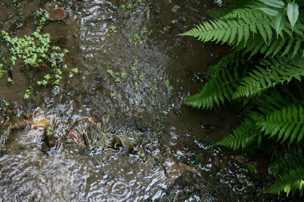 溪图片下载